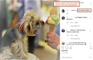 Instagram post of dog licking an ice cream cone